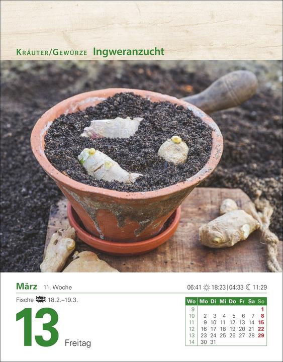 Produktbild Harenberg Mein Garten Tagesabreisskalender 2026 - Praktische Tipps für 2026 (Deutsch)