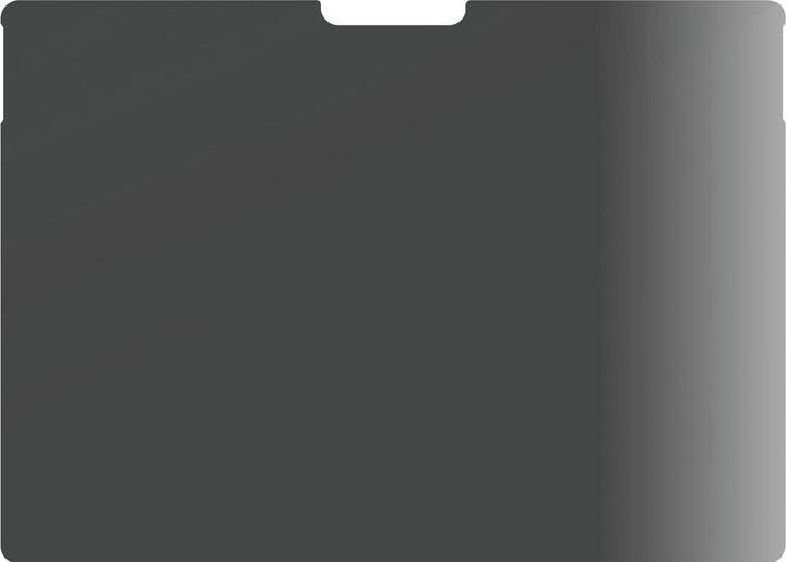 Actual product image PanzerGlass Ultra Wide Fit Privacy (1 Piece, 9, 11)