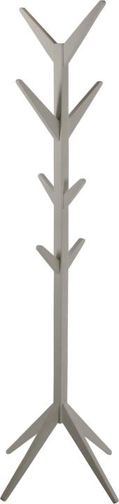 AC Design Ascot