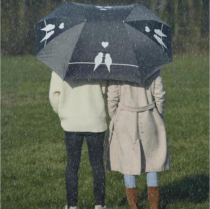 Image du produit Esschert Design Parapluie partenaire