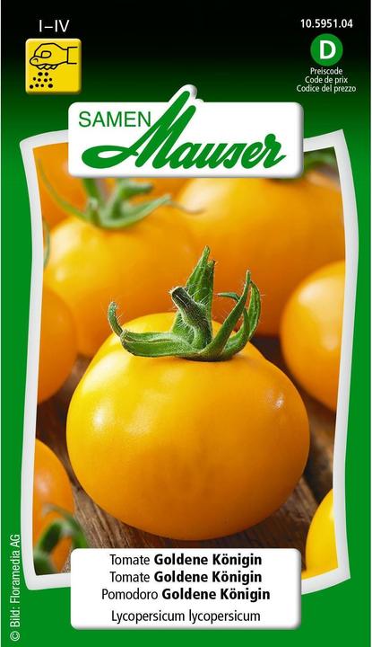 Samen Mauser Tomate Goldene Königin (Gemüsesamen)