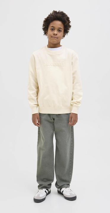 Actual product image Jack & Jones Gedruckt Sweatshirt Junior Sweatshirt (140)