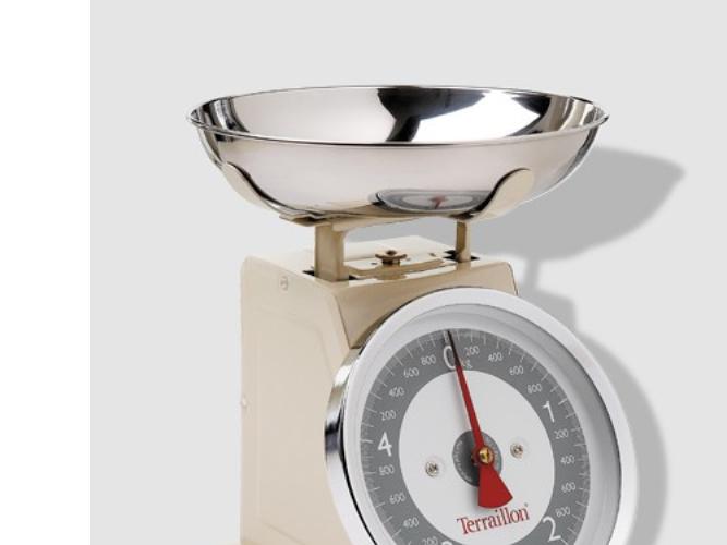 Produktbild Terraillon Küchenwaage Trad 500
