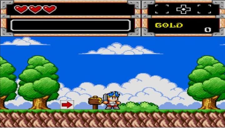 Actual product image ININ Games Wonder Boy Collection (Switch, Switch Lite, Switch OLED, DE)