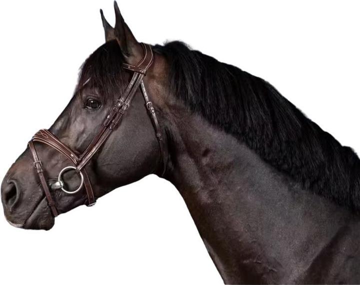 Immagine prodotto Dy'on Briglia da equitazione combinata all'inglese con nasello anatomico
