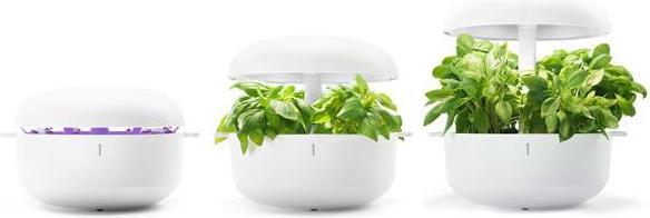 Immagine prodotto Plantui Giardino intelligente (29 cm)