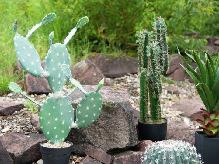 Image du produit Europalms Cactus à feuilles, plante artificielle, 76cm (76 cm)