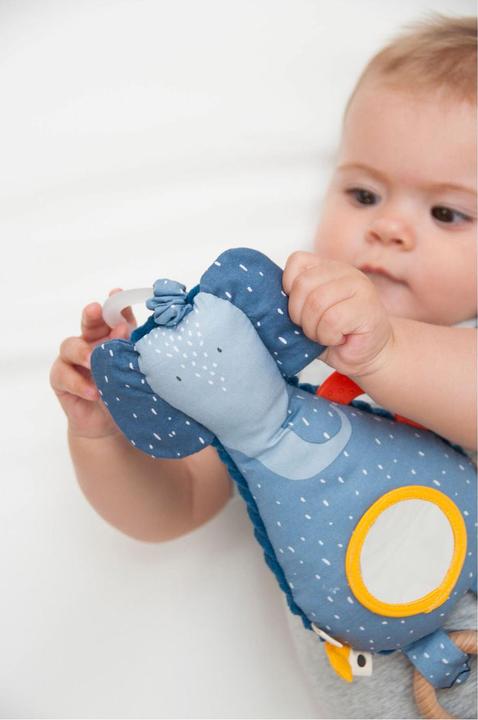 Actual product image Trixie Baby Activity hanging toy