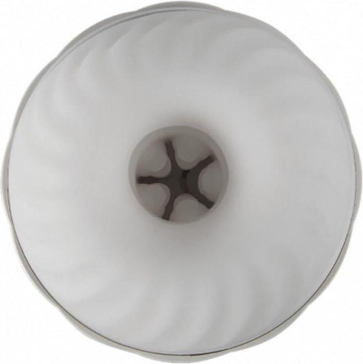 Actual product image Svakom Robin