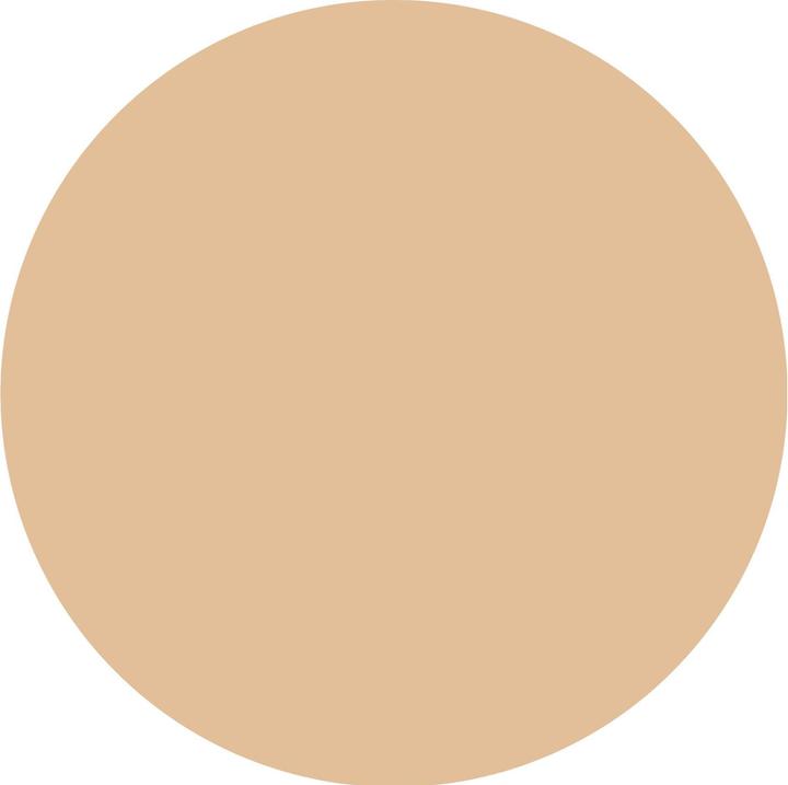 Image du produit Catrice Invisible Cover Foundation fond de teint (010W)
