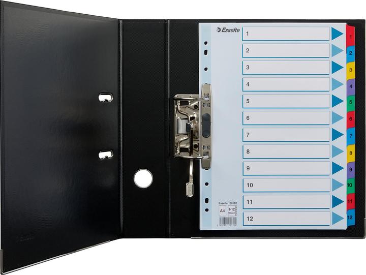 Actual product image Esselte Mylar