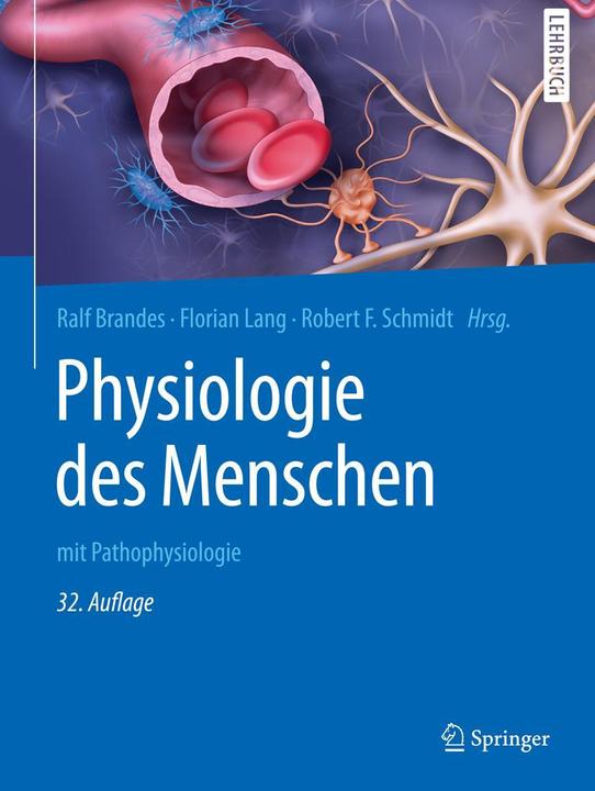 Actual product image Physiologie des Menschen (German, Florian Lang, Robert F. Schmidt, Ralf Brandes, 2019)
