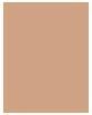 Actual product image L'Oréal Paris true match (N4)