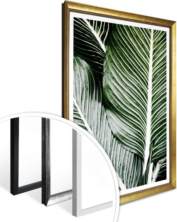 Image du produit Trenddeko Feuilles de palmier (60 x 80 cm)