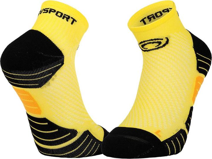 BV Sport Scrone.3