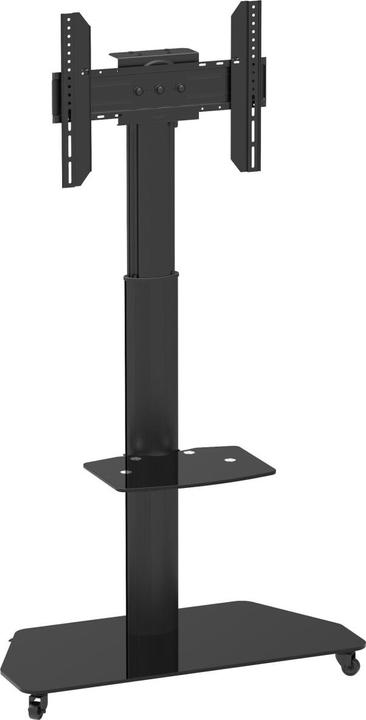 Actual product image Celexon Trolley Adjust-3770MP (70", 50 kg)
