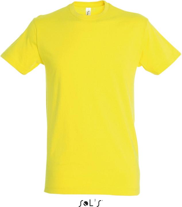 Actual product image Sol's Regent (XS)