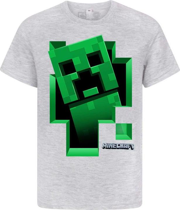 Minecraft Inside TShirt Jungen