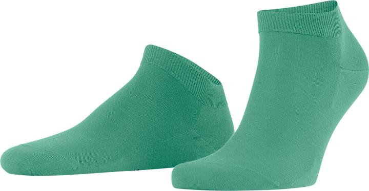Falke ClimaWool Herren (43 - 44)