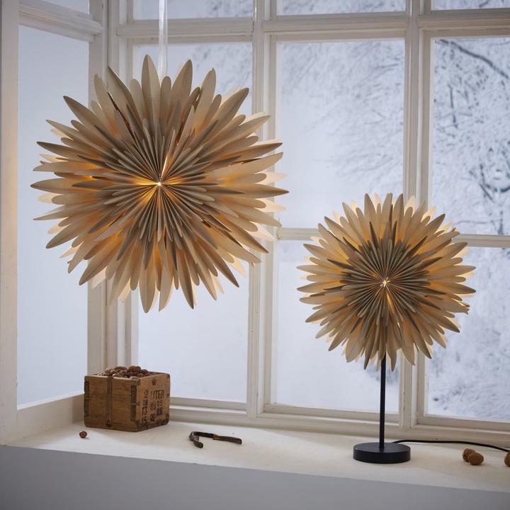 Actual product image Star Trading Winter