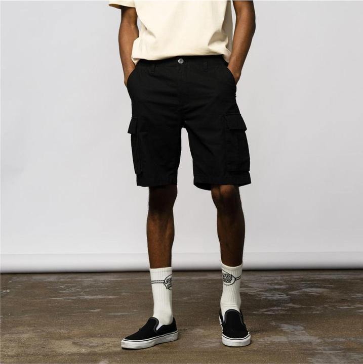 Actual product image Santa Cruz Gauntlet shorts (28)