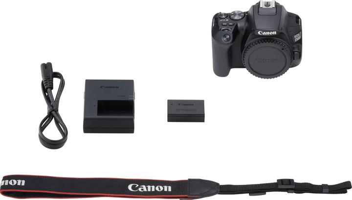 Actual product image Canon EOS 250D (24.10 Mpx, APS-C / DX)