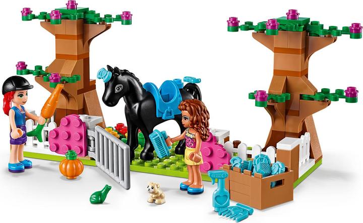 Actual product image LEGO Friends Heartlake City brick box (41431) (41431, LEGO Friends)