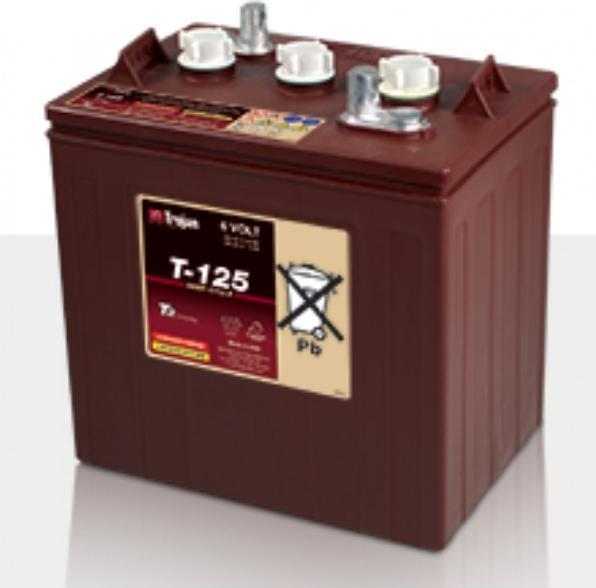 Immagine prodotto T-125 Plus (6 V, 240 Ah)