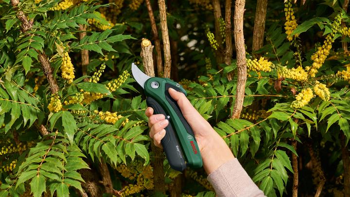 Produktbild Bosch Home & Garden EasyPrune
