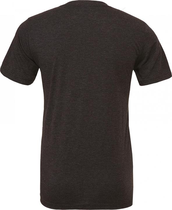 Actual product image Bella Canvas Triblend Tee (L)