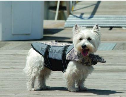 Produktbild Pet Ego Hunde Schwimmweste (XL, Hundeschwimmweste)