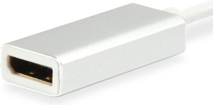 Immagine prodotto equip 133458 USB tipo C a DisplayPort Adattatore 15cm (USB-C, 25 cm)