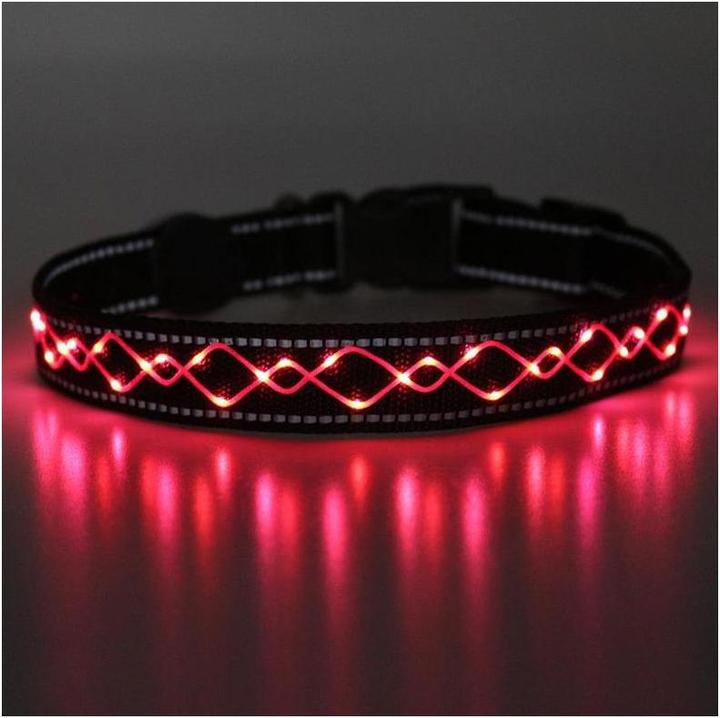 Image du produit Animal Light Collier lumineux pour chien Beauty (L, Chien, Général)