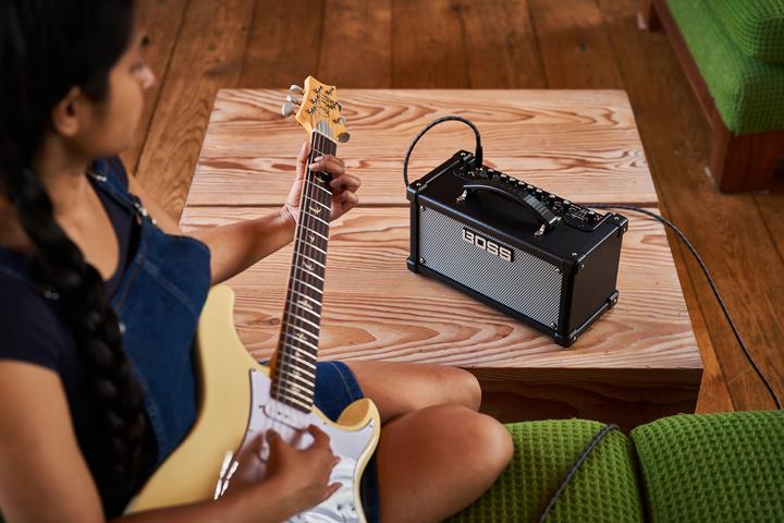Immagine prodotto BOSS (Electronics) Amplificatore per chitarra D-CUBE LX (Chitarra, 10 W)