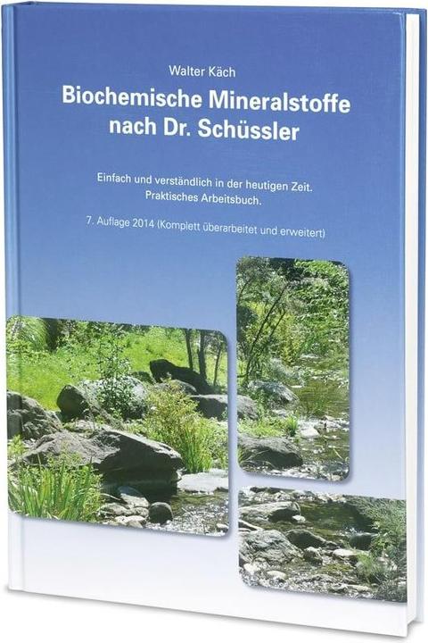 Biochemische Mineralstoffe nach Dr. Schüssler (Deutsch, Walter Käch, 2010)