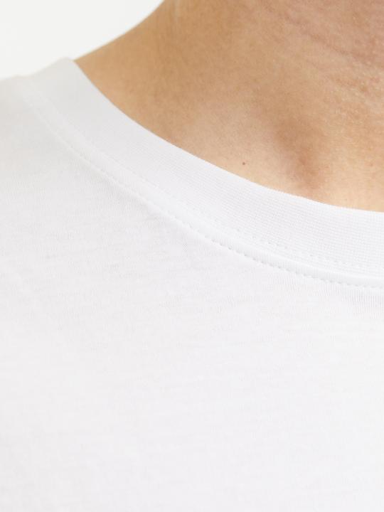 Image du produit Jack & Jones Joranatomy Skull Tee Ss Crew Neck Ln (M)