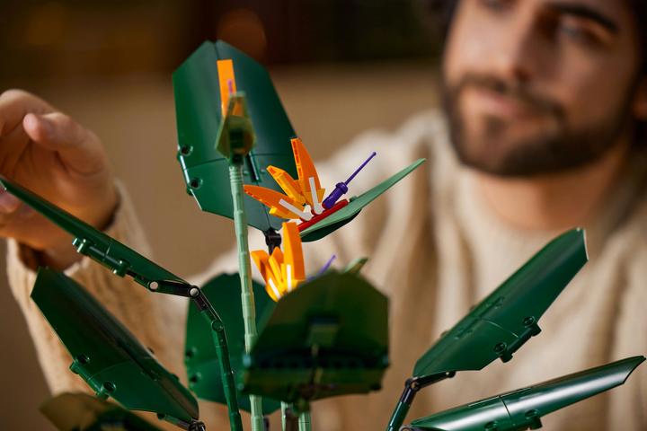 Image du produit LEGO Oiseau de Paradis (10289, LEGO difficiles à trouver)