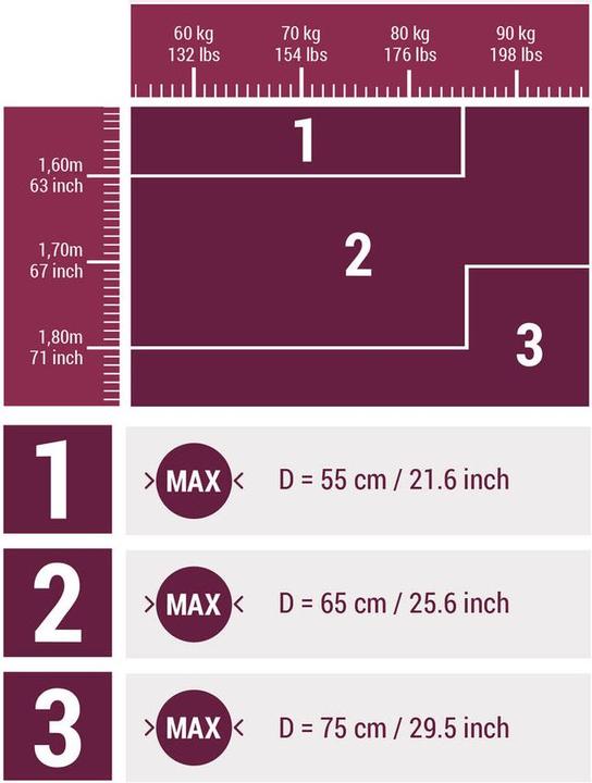 Image du produit Domyos Swiss Ball Basic (65 cm)
