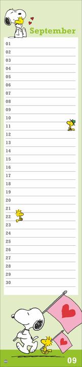 Produktbild Peanuts Geburtstagskalender (11 x 49 cm, Harter Einband, Deutsch)
