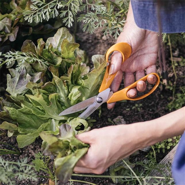 Image du produit Fiskars Bypass Classic