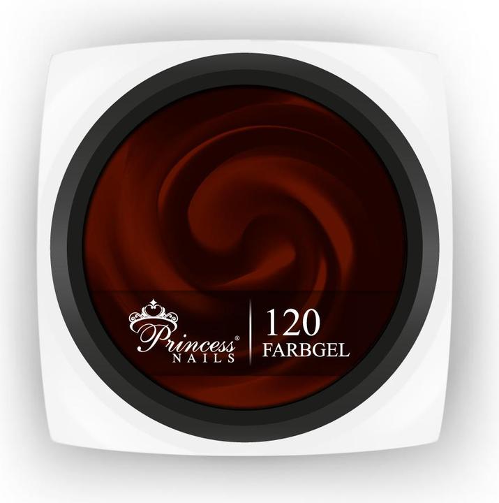 PrincessNails Farbgel 120