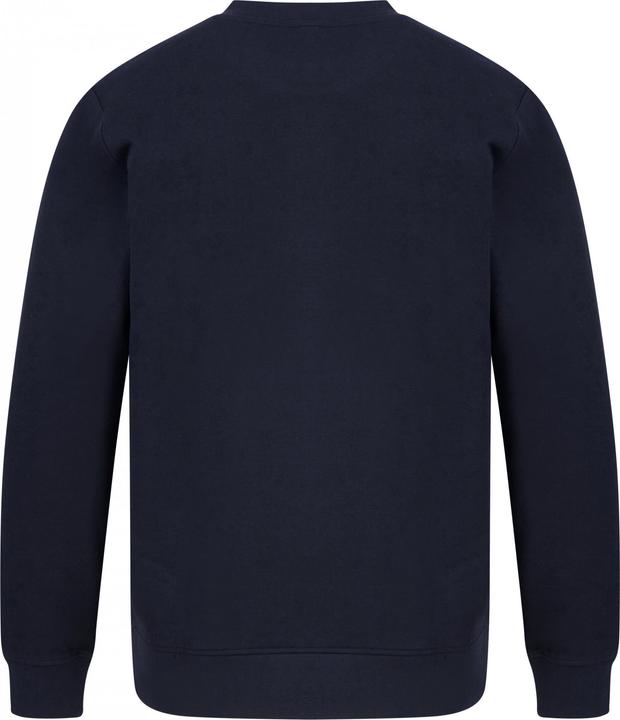 Actual product image Henbury Sweatshirt eco-friendly (XS)