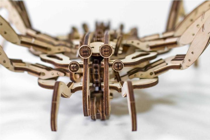 Actual product image Eco Wood Art spider