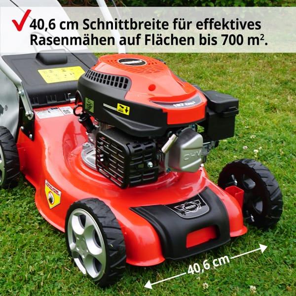 Produktbild Hecht 540 (Benzinbetrieb)