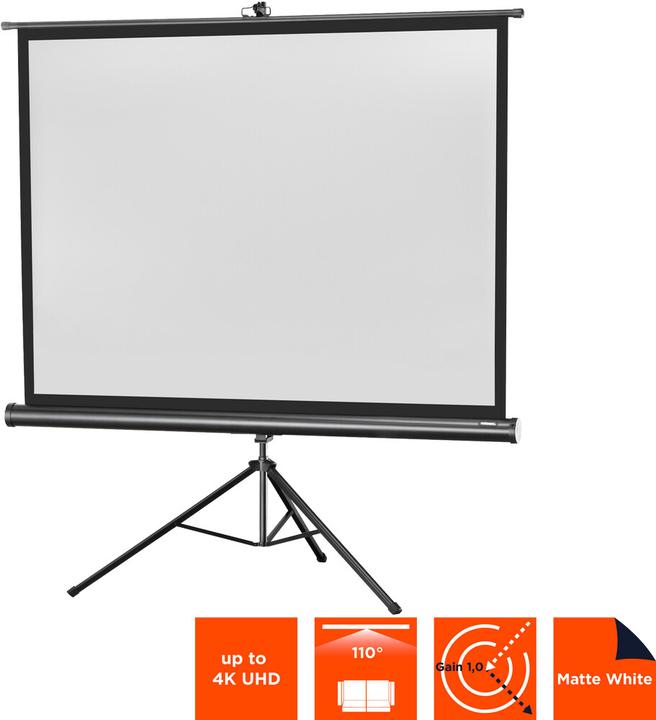 Actual product image Celexon Economy (86", 4:3)