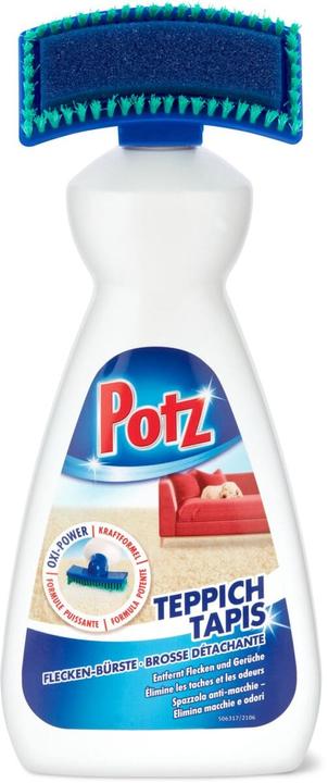 Potz Spazzola per macchie di tappeto