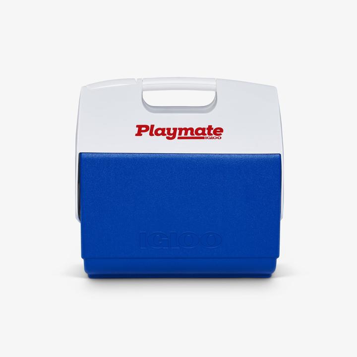 Produktbild Igloo grosse Betreuer-Eisbox (15.20 l)