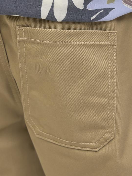 Actual product image Jack & Jones Relaxed Fit Loose Fit Shorts Loose Fit Shorts (146)