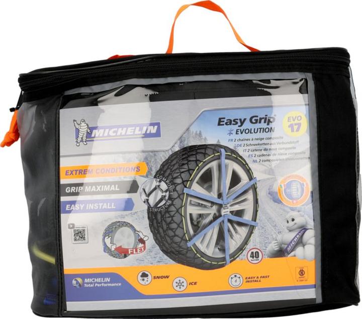 Actual product image Michelin Easy Grip EVO 17