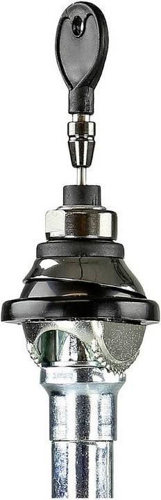 Actual product image ACV Telescopic antenna AM/FM universal passive chrome